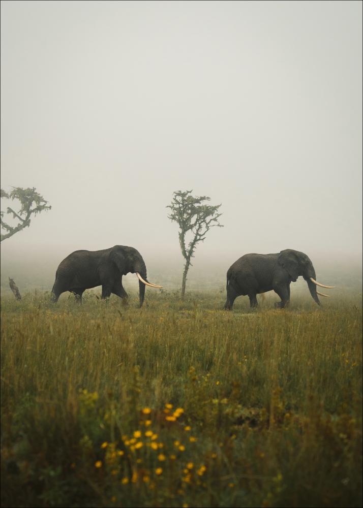 Elephant Walk Αφίσα