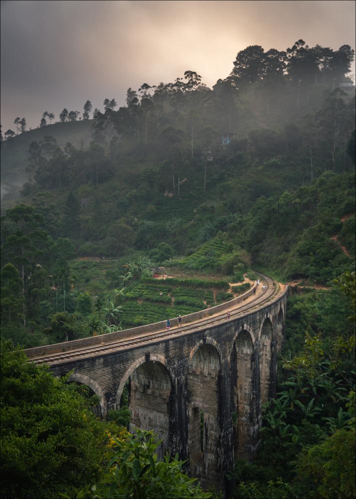 Jungle train rails Αφίσα