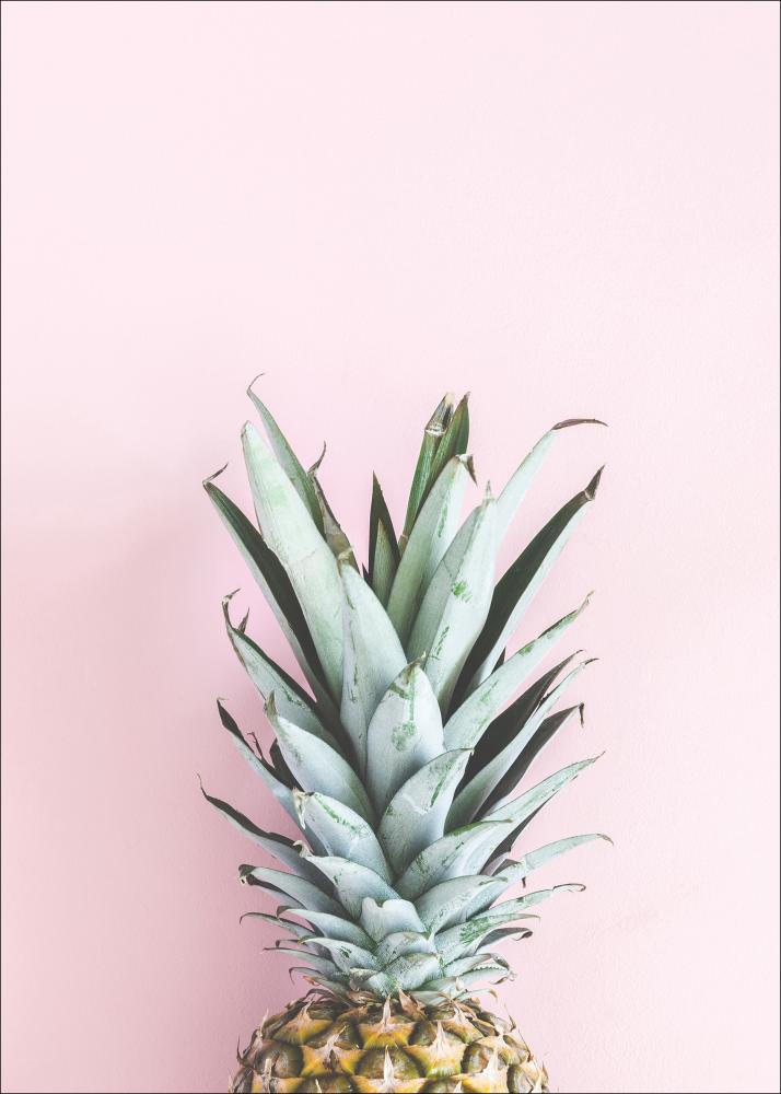 Pineapple Pink Αφίσα