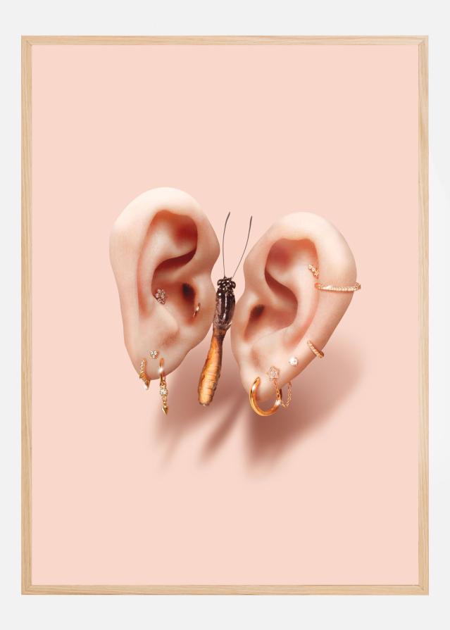 Butterfly Ears Poster