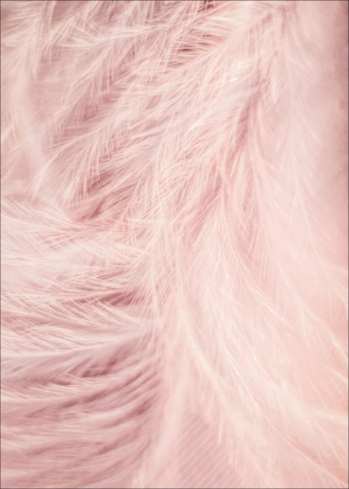 Pink Feathers Αφίσα