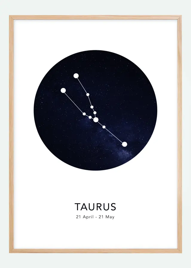 Taurus Αφίσα