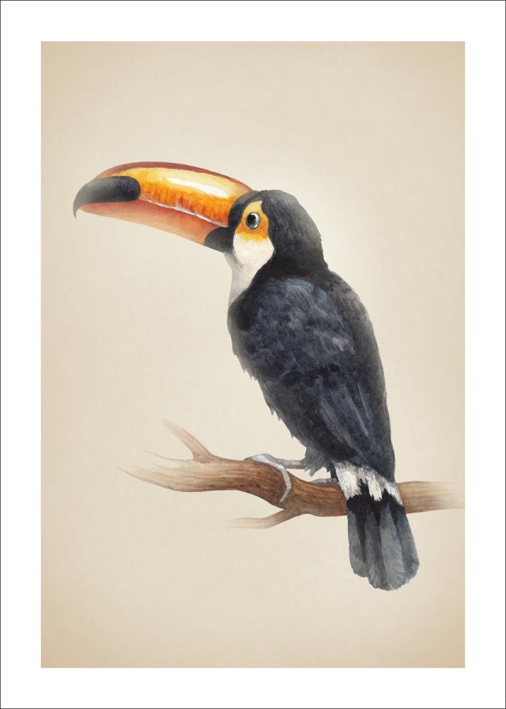 Tropical Toucan Αφίσα