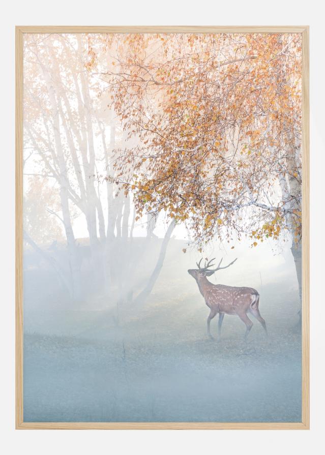 Elk Lost In Mist Αφίσα