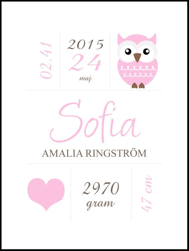 Owl Birth Αφίσα Pink