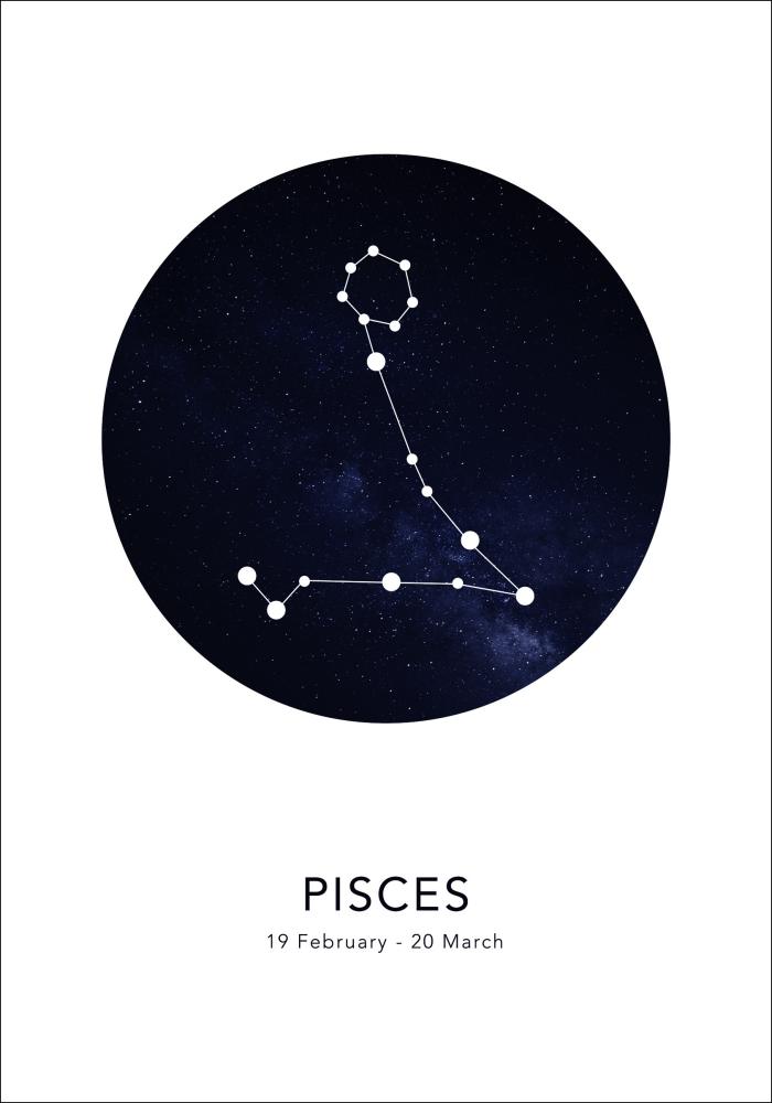 Pisces Αφίσα