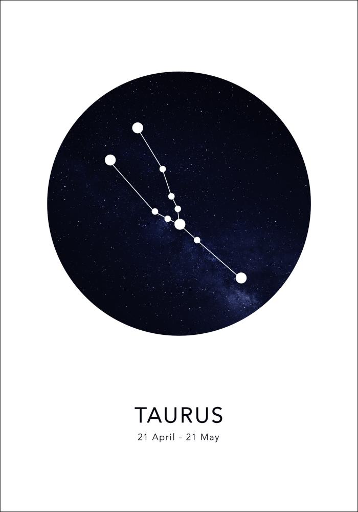 Taurus Αφίσα