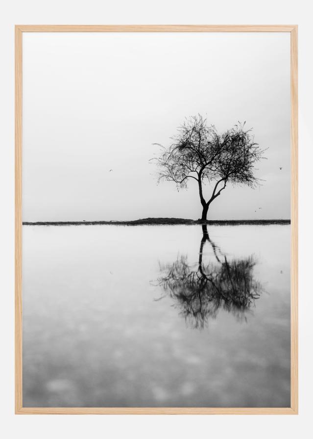 Lonely Tree Reflection Αφίσα