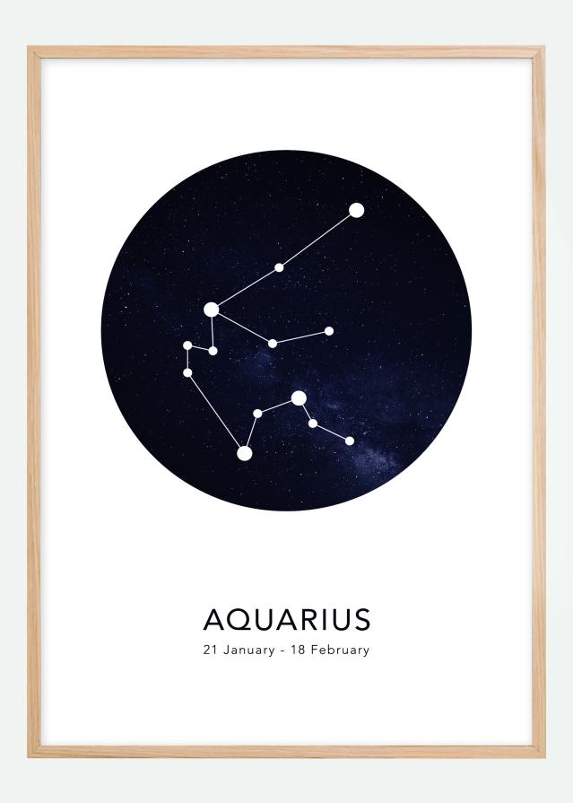 Aquarius Αφίσα