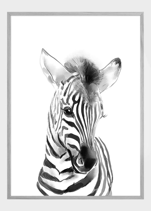 Zebra Watercolor Αφίσα