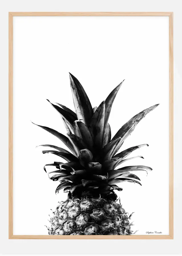 Pineapple B&W Αφίσα