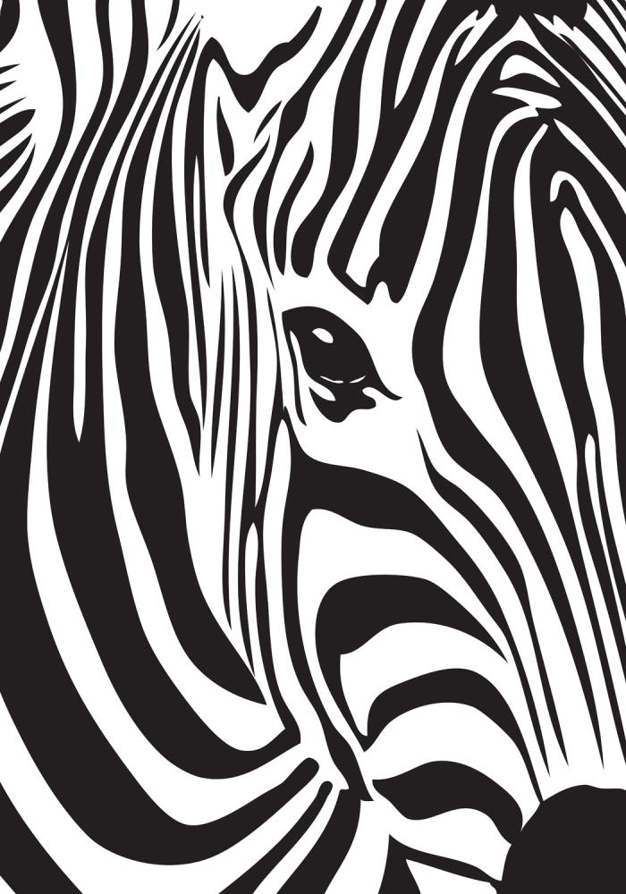 Zebra Αφίσα