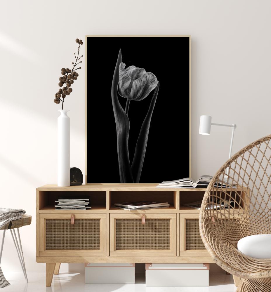 Rembrandt Tulip Αφίσα