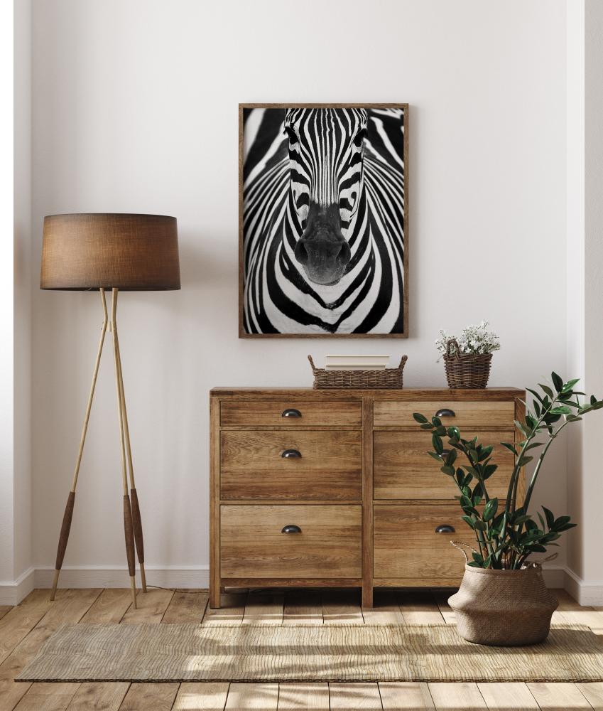 Zebra Αφίσα