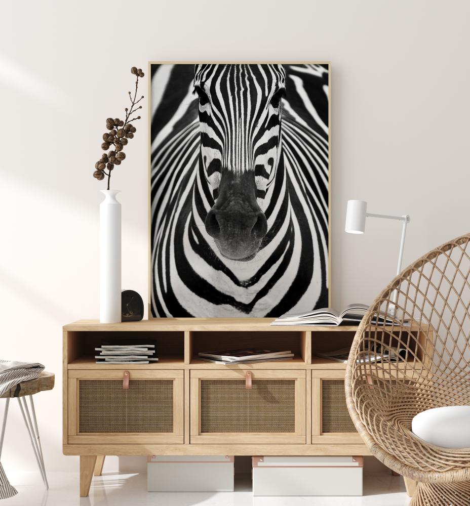 Zebra Αφίσα