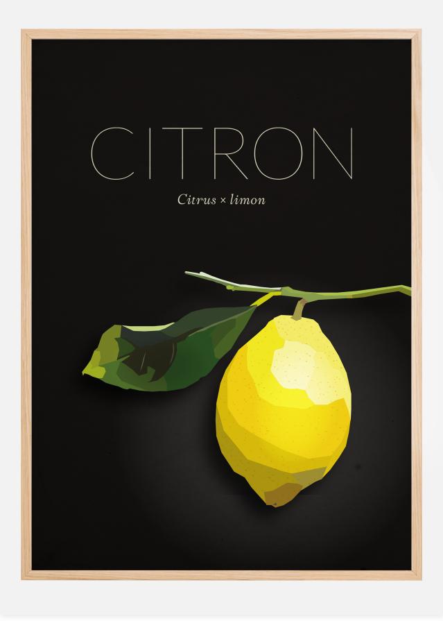 Citron Αφίσα