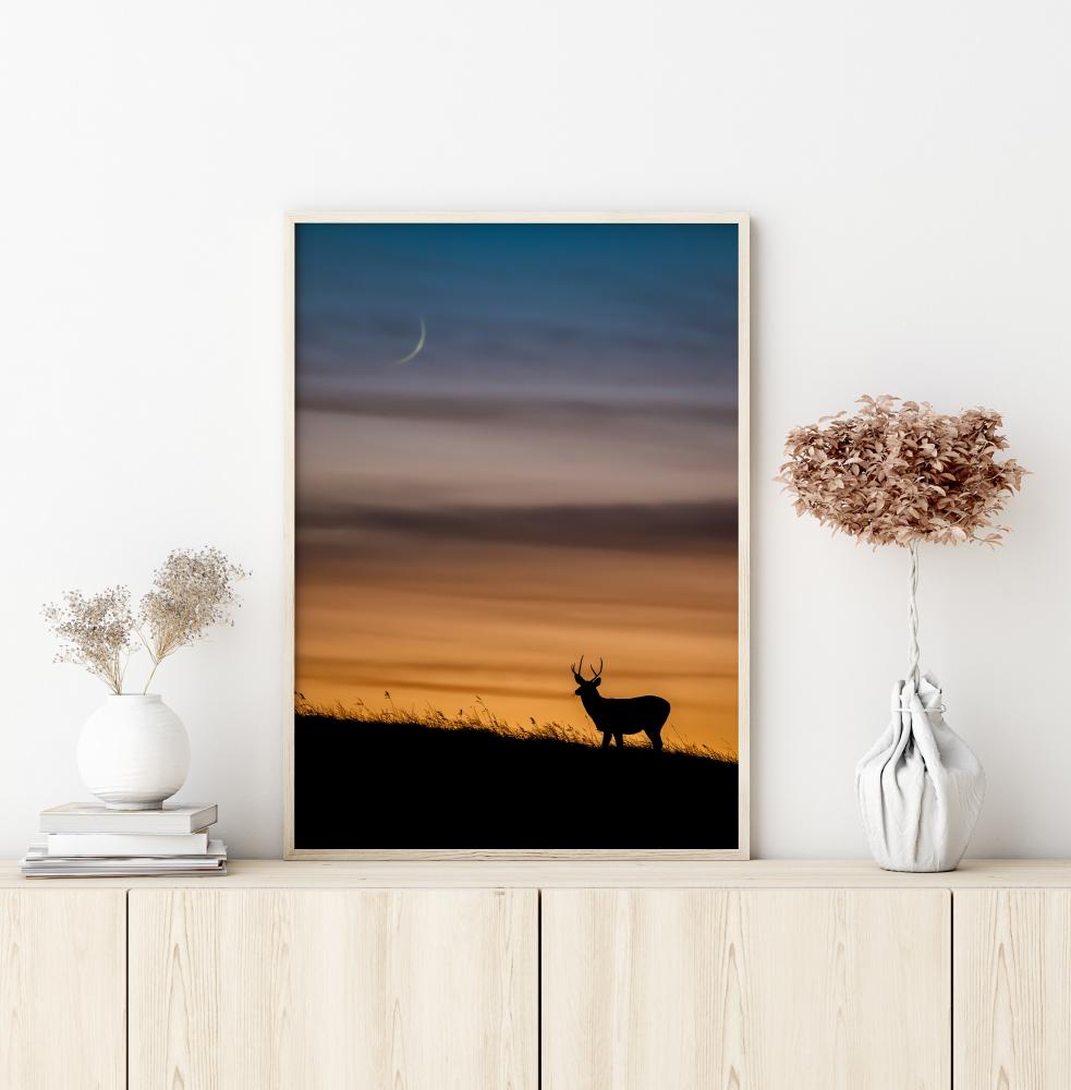 Deer In Sunset Αφίσα