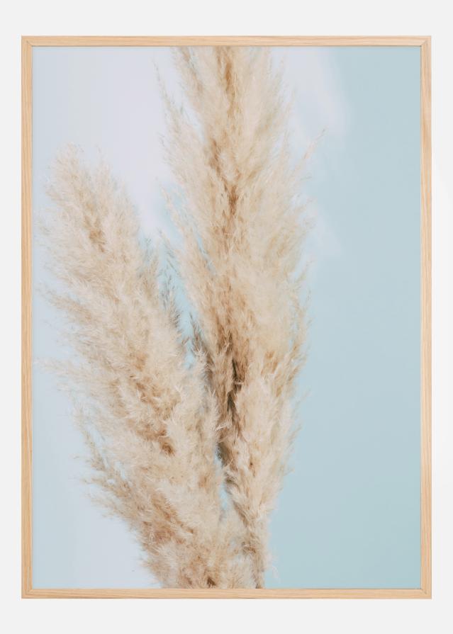 Pampas Grass Blue Αφίσα