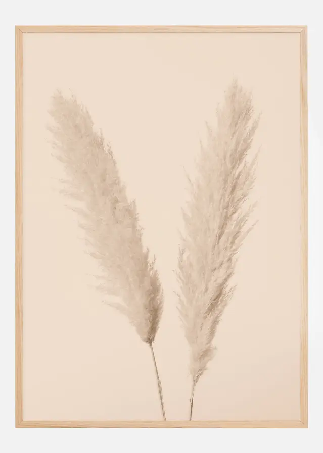 Pampas Grass I Αφίσα