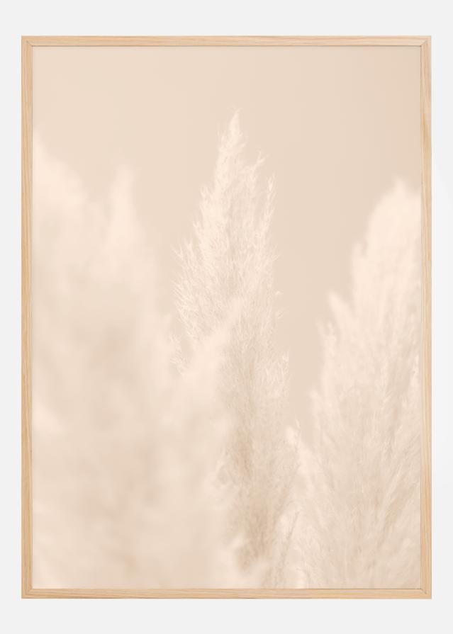 Pampas Grass II Αφίσα