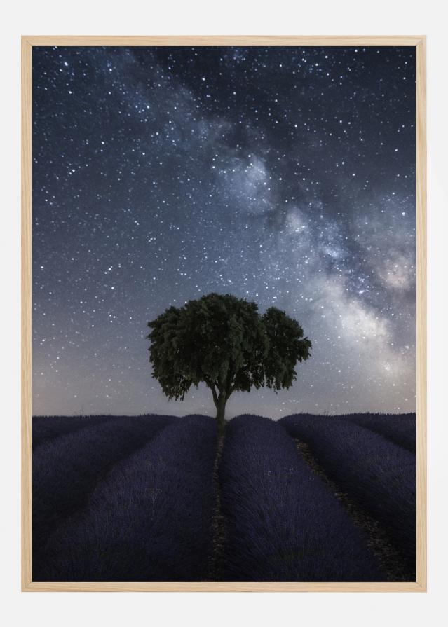 Tree And Milky Way Αφίσα