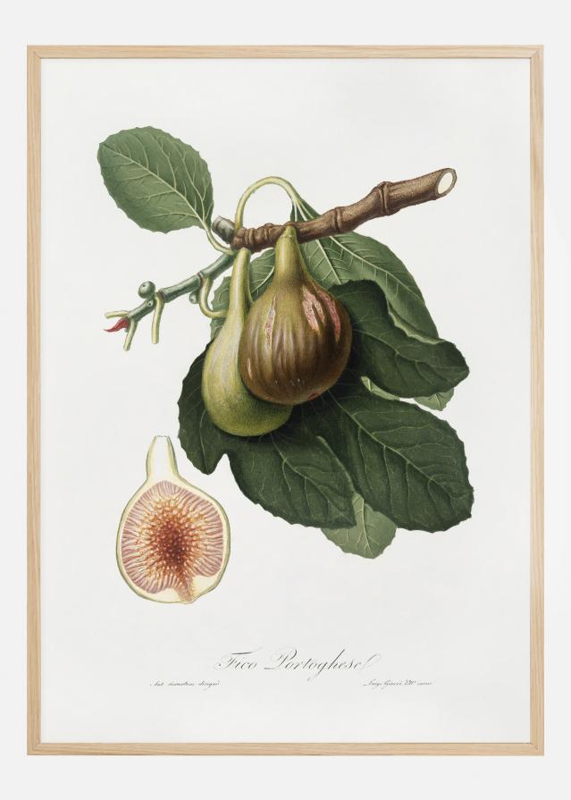 Figs Αφίσα