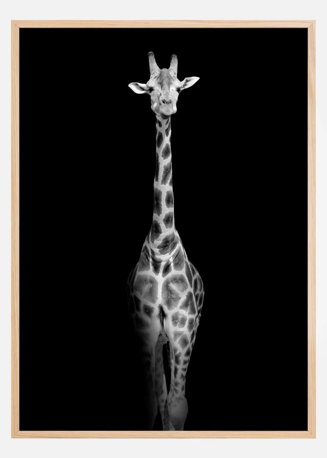 Stunning giraffe Αφίσα