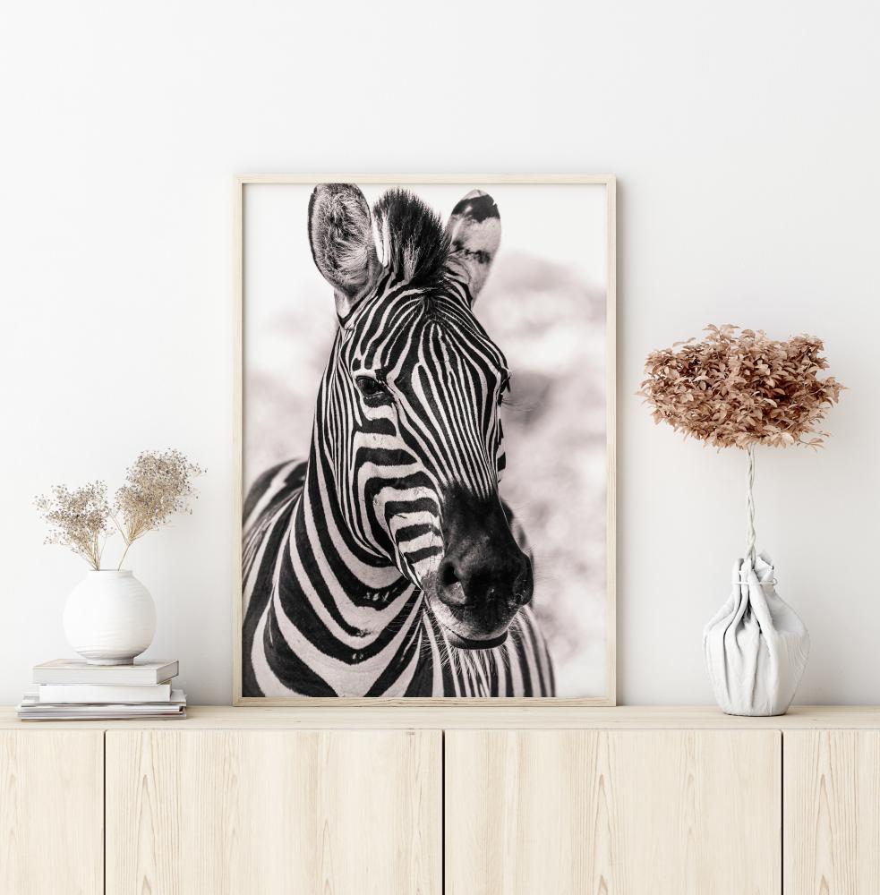 Zebra Αφίσα