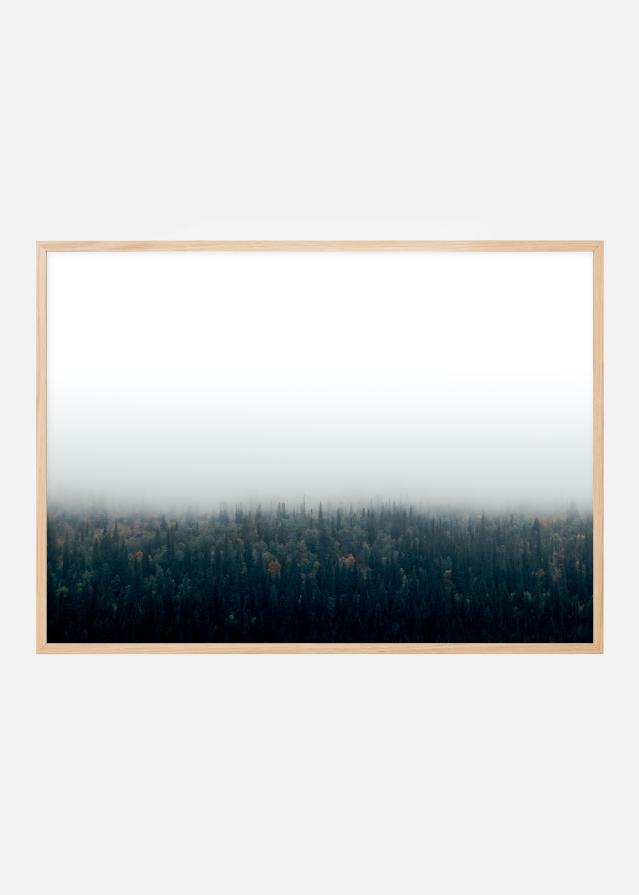 Forests in fog Αφίσα