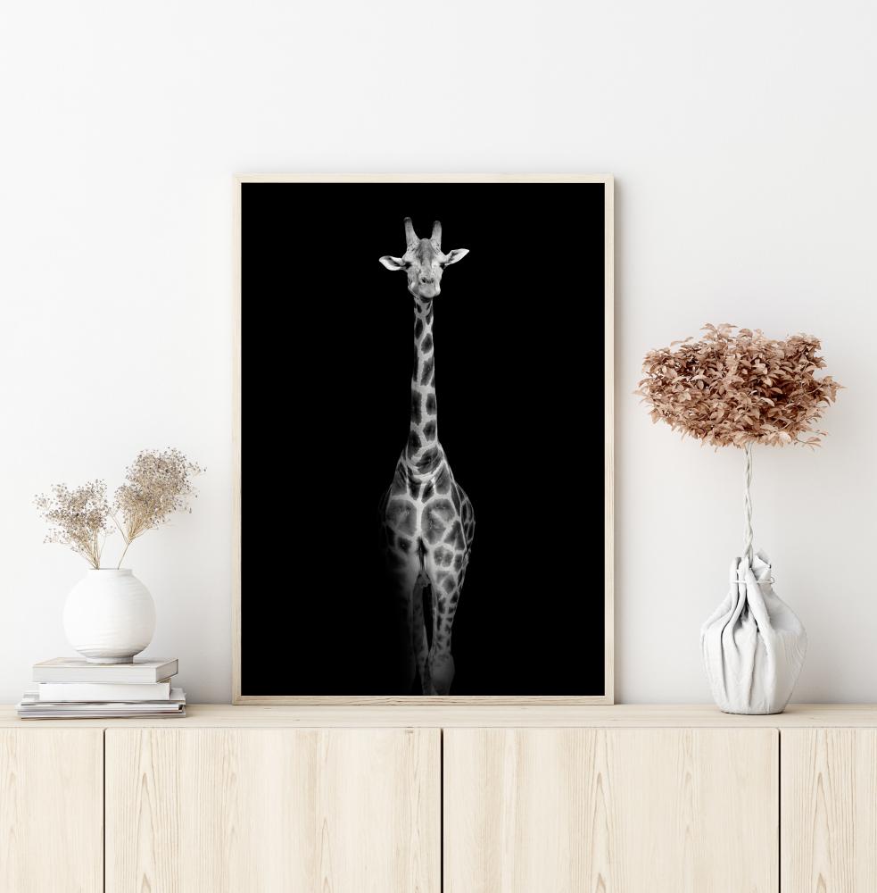 Stunning giraffe Αφίσα