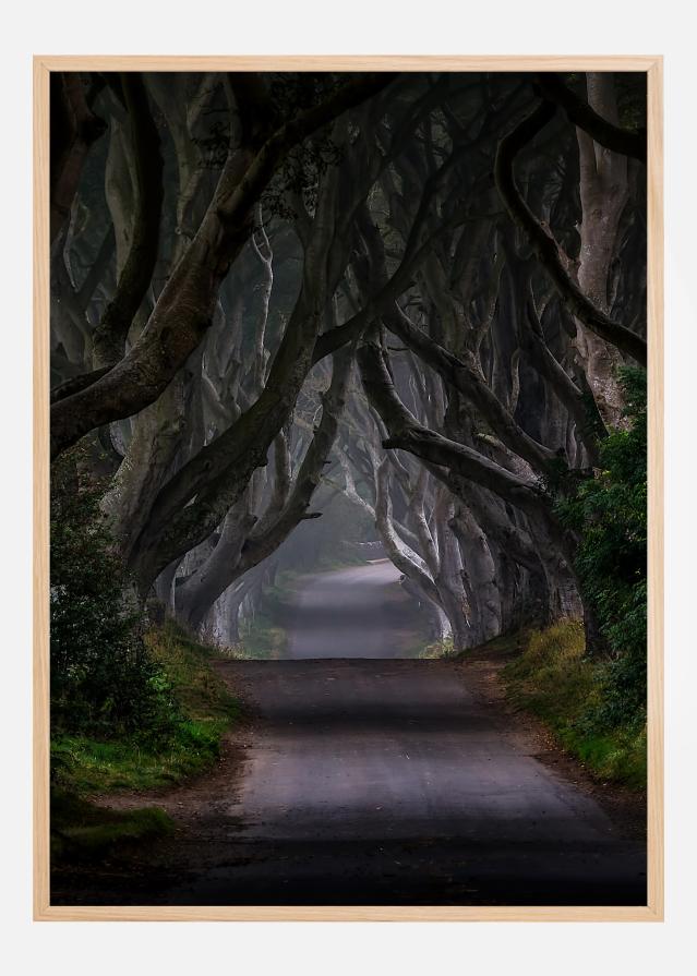 The Dark Hedges Magic road Αφίσα