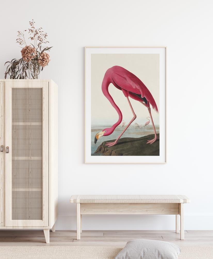 American Flamingo Αφίσα