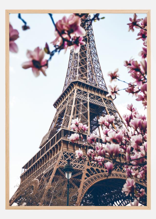 Eiffel Tower Blossoms Αφίσα