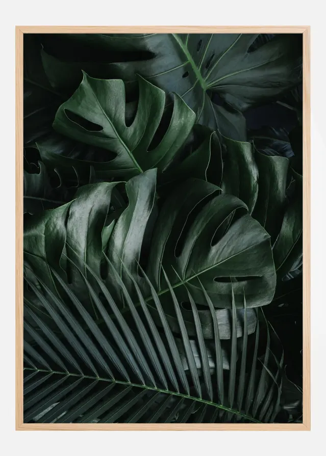 Monstera Plant II Αφίσα