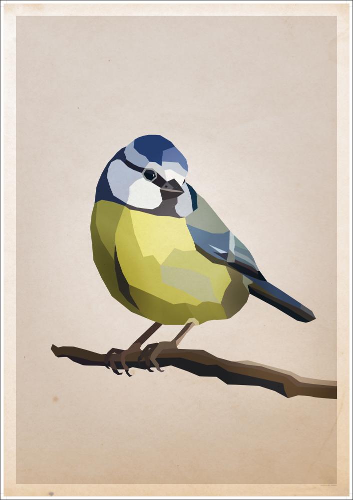 Blue tit Αφίσα