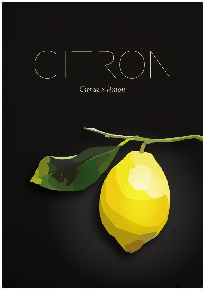 Citron Αφίσα