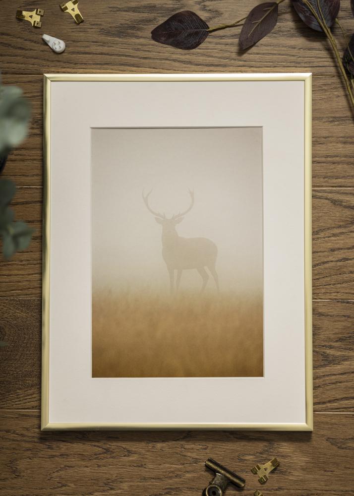 Πλαίσιο Αφίσα Frame Aluminum Gold 13x18 cm