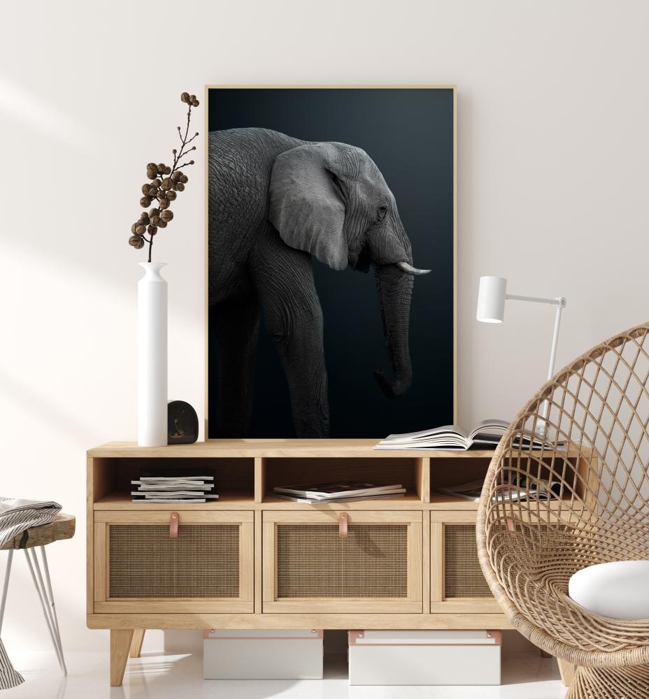 Namibian Elephant Αφίσα