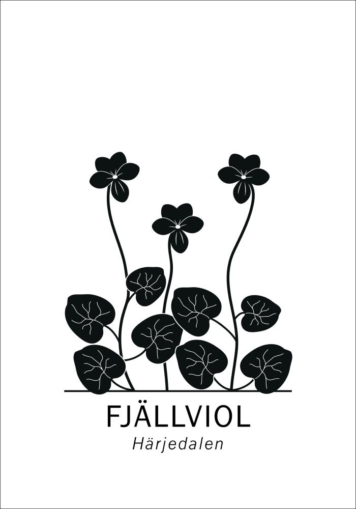 Fjällviol - Härjedalen Poster