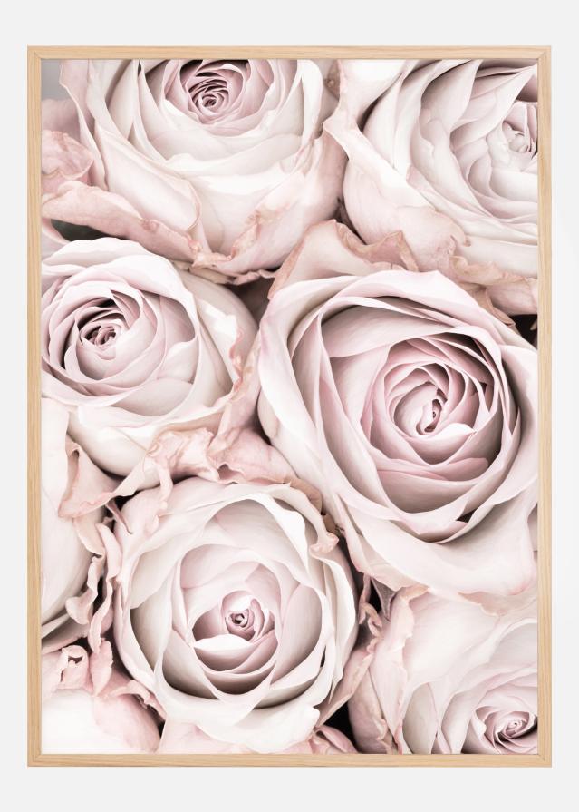 Pink Roses Αφίσα