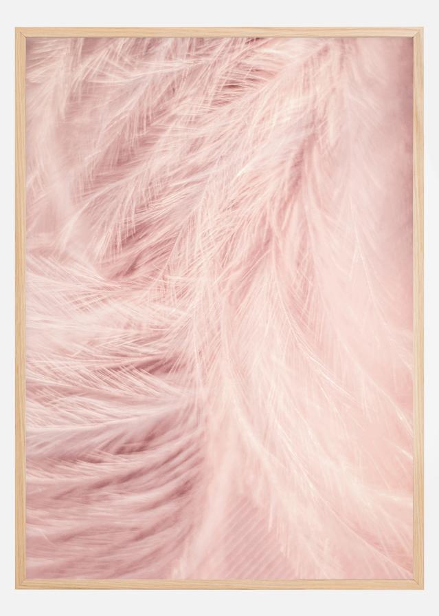 Pink Feathers Αφίσα