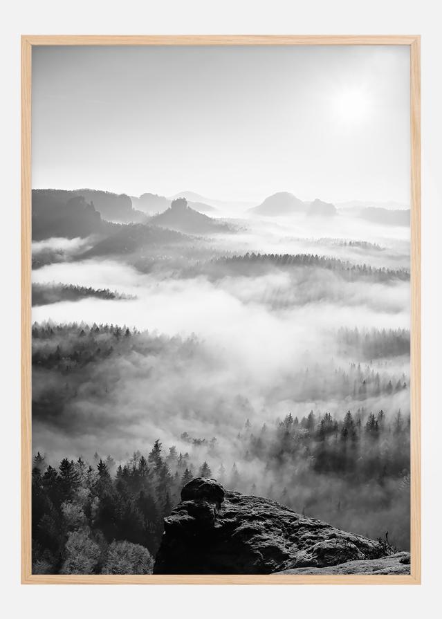 Foggy Forest Black & White I - 50x70 cm Αφίσα