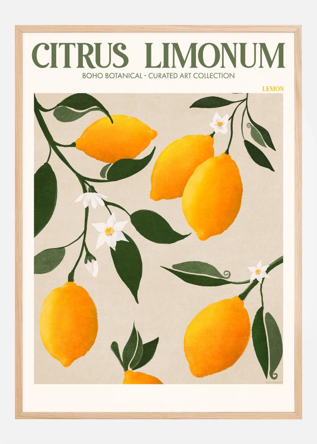 Boho Citrus Limonum Αφίσα