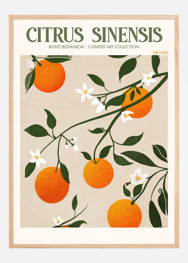 Boho Citrus Sinensis Αφίσα