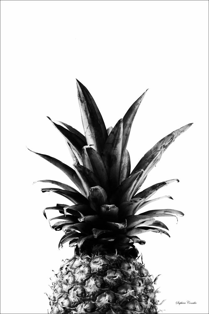 Pineapple B&W Αφίσα