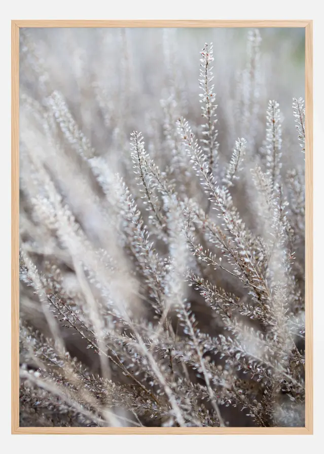 Frosty Grass Αφίσα